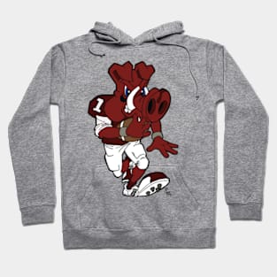 Arkansas football Hoodie